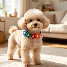10Pcs Cute Flower Dog Tie, Adjustable Floral Neck Collar With Pearl Decor, Random Color Pet Grooming Accessory For Small Cats Dogs, Daily Party Photo Prop - Multicolor - View 9