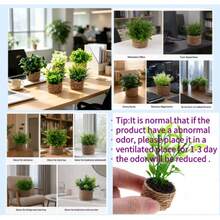 Artificial Mini Green Plant Decor, Mini Potted Plant, Mini Model, Dollhouse Accessories, Miniature Model, Decorative Dollhouse Arrangement, Miniature Scene, Essential For Handmade Enthusiasts And Model Players - Suitable For: Holiday Decoration - Christmas/Halloween/Easter - Applicable To: Office Desk, Home Living Room, Study Window Sill, Front Desk Display - Green - View 8