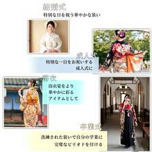 水引き  袴 髪飾り 卒業式 成人式 水引 金箔 紐 ロープ 金 ゴールド 白 ヘアアクセサリー 花 ドライフラワー 前撮り 成人式前撮り 振袖 袴 着物 色打掛 結婚式 ブライダル 花嫁 ヘッドドレス 浴衣 和装 かすみ草 - レッド - チェックする 4