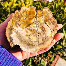 1 Pc Stunning Quartz Irregular Slice Cluster – Distinct Veining – Home Decor- Classroom Teaching Resource – Unique Gift For Easter Or Valentine's Day - Multicolor - View 8
