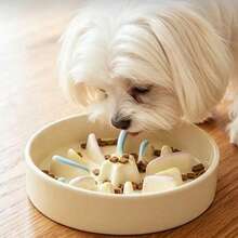 1pc Fireworks Ceramic Slow Feeder Bowl For Cats And Dogs, Anti-Choke Slow Eating Bowl For Home Pet Feeding, Anti-Black Chin Feeding Bowl - 200ml - View 7