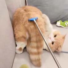 Alat Pijat Penggaruk Kucing & Anjing yang Dapat Ditarik, Mainan Interaktif Hewan Peliharaan, Tongkat Penggaruk yang Dapat Diperpanjang, Perlengkapan Pijat Pegangan Panjang untuk Hiburan Mandiri Kucing, Mainan Hewan Peliharaan Penghilang Kebosanan - View 1