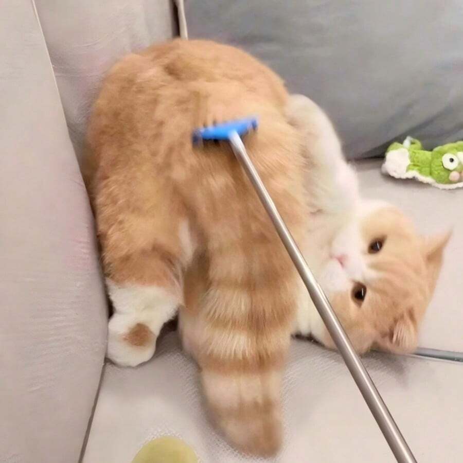 Alat Pijat Penggaruk Kucing & Anjing yang Dapat Ditarik, Mainan Interaktif Hewan Peliharaan, Tongkat Penggaruk yang Dapat Diperpanjang, Perlengkapan Pijat Pegangan Panjang untuk Hiburan Mandiri Kucing, Mainan Hewan Peliharaan Penghilang Kebosanan - View 1
