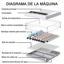 Egg Handling Supplies - US A Type Plug(110-127V) - View 5
