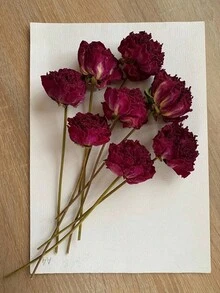 10/20/30/40入人造玫瑰花頭，微景觀裝飾，DIY禮品包裝裝飾 - 紅色 - 查看 2