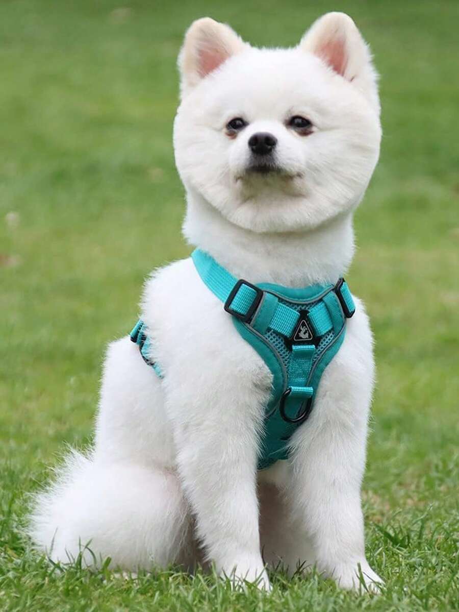 Reflective Pet Harness And Leash Set, Suitable For Dogs And Cats, Escape-Proof Adjustable Puppy Harness, Soft Mesh Material - Green - View 1