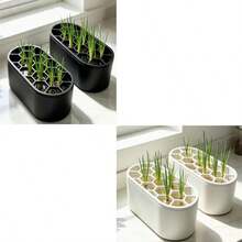2, 4pcs Indoor Onion Seedling Transplanting Cultivation Set, Hydroponic Container, Soilless Indoor Onion Seedling Cultivation, Space-Saving Planting Solution, Suitable For Small Apartments And Onion Growers - Seedling Tray - View 10