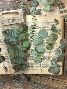 1 Pack 20pcs Vintage PET Eucalyptus Leaf Planner Decorative Stickers - DT091 - View 2
