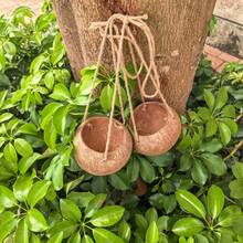 2pcs Natural Coconut Shell Hanging Planters, Rustic Style Hanging Baskets With Jute Rope, Suitable For Indoor Plants, Home Garden Wall Decor - A - View 10