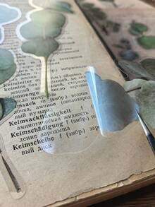 1 Pack 20pcs Vintage PET Eucalyptus Leaf Planner Decorative Stickers - DT091 - View 4
