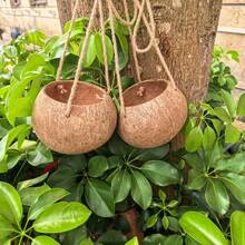 2pcs Natural Coconut Shell Hanging Planters, Rustic Style Hanging Baskets With Jute Rope, Suitable For Indoor Plants, Home Garden Wall Decor - A - View 8