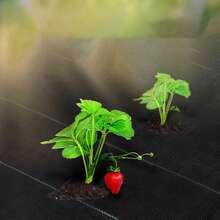 قطعة واحدة من قماش مضاد للعشب قابل للتنفس، قماش حاجز ثقيل الوزن، حصير تحكم في منظر الحديقة الفاخر، متين للاستخدام في الحديقة والفناء وأحواض الزهور - 1 قطعة سوداء - مشاهدة 4
