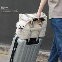 1pc High-End Fashion Breathable Pet Carrier, Crossbody Dog & Cat Backpack, Portable Cat Backpack Bicycle Trailer, Detachable Shoulder Strap, Portable, Suitable For Cats, Small Dogs, Rabbits And Other Small Pets Weighing 7–15 Lbs, Breathable Mesh Lining, Multi-Purpose Pockets, Portable Travel & Picnic Bag, Polyester Fiber Travel Bag, With Zipper Closure, Suitable For Luggage, Suitable For Car And Outdoor Use, Cat Carrier Cat Backpack - White - View 3