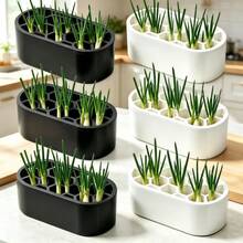 2, 4pcs Indoor Onion Seedling Transplanting Cultivation Set, Hydroponic Container, Soilless Indoor Onion Seedling Cultivation, Space-Saving Planting Solution, Suitable For Small Apartments And Onion Growers - Seedling Tray - View 5
