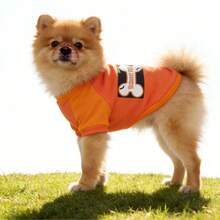 Pet Halloween Fun T-Shirt Orange & Yellow Colorblock Dog Raglan Tee "Got Treats?" Bone Print Mesh Dog T-Shirt Small Breed Pomeranian Teddy Pet Funny Short Sleeve Bone Pattern Dog Raglan Shirt Small Dog Outdoor Outfit - Burnt Orange - View 7