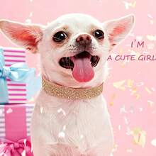 Dog Collar For Small Dogs, Lightweight Adjustable Microfiber Leather Suede Bling Dog Collars,Pink Dog Collar Cat Collar, Rhinestone Dog Collar. - Multicolor - View 5