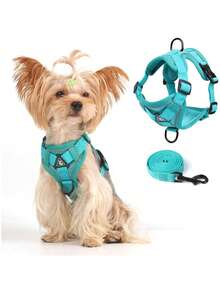 Reflective Pet Harness And Leash Set, Suitable For Dogs And Cats, Escape-Proof Adjustable Puppy Harness, Soft Mesh Material - Green - View 5