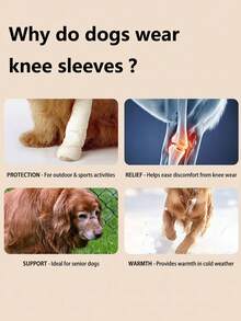 DomKim 4pcs/Set Knitted Dog Leg Sleeves, High Elastic Anti-Slip Pet Knee Pads, Ribbed Cuff, Joint Support Leg Fixation Socks, Winter Warm Paw And Leg Protectors, Prevent Injury, Suitable For Small, Medium And Senior Dogs Outdoor Walking In Cold Weather - Dusty Blue - View 6