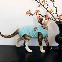 Pakaian Hewan Peliharaan Rompi Terusan Berkaki Empat, Palet Warna Kuda Poni 3D Morandi 3 Warna, Lapisan Dasar Pas Badan, Anti Rontok, Anti Dingin, Untuk Kucing Tanpa Bulu Abyssinian dan Devon Rex - Mint Blue - View 1