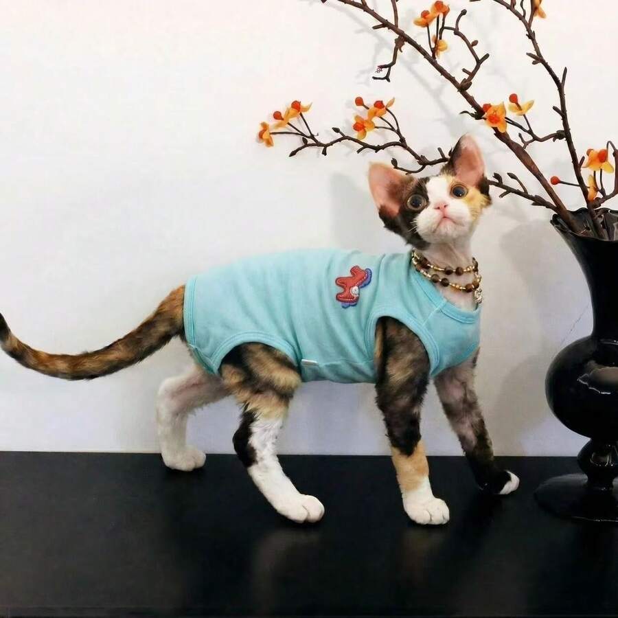 Pakaian Hewan Peliharaan Rompi Terusan Berkaki Empat, Palet Warna Kuda Poni 3D Morandi 3 Warna, Lapisan Dasar Pas Badan, Anti Rontok, Anti Dingin, Untuk Kucing Tanpa Bulu Abyssinian dan Devon Rex - Mint Blue - View 1