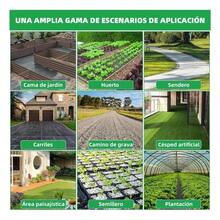 Weeders - Negro - View 9