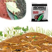 Kit Dedetização Kelldrin SC Formigas E Baratas + Gel Formiga+ Iscanill Granulada - C - Visão 8