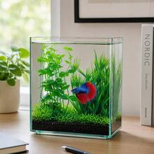 1pc Green Artificial Aquarium Plant, Plastic Fake Fish Tank Grass Decoration With Weighted Base, 20cm Realistic Water Plant, Suitable For Fish Tank, Turtle Tank Landscape, Easy To Clean - Happy Aquarium - View 1