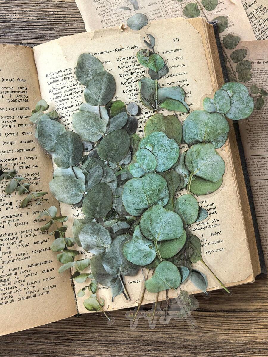 1 Pack 20pcs Vintage PET Eucalyptus Leaf Planner Decorative Stickers - DT091 - View 1