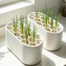 2, 4pcs Indoor Onion Seedling Transplanting Cultivation Set, Hydroponic Container, Soilless Indoor Onion Seedling Cultivation, Space-Saving Planting Solution, Suitable For Small Apartments And Onion Growers - Seedling Tray - View 12