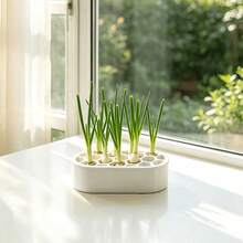 2, 4pcs Indoor Onion Seedling Transplanting Cultivation Set, Hydroponic Container, Soilless Indoor Onion Seedling Cultivation, Space-Saving Planting Solution, Suitable For Small Apartments And Onion Growers - Seedling Tray - View 6