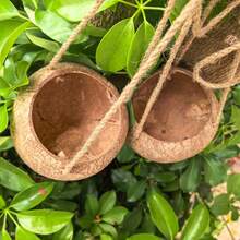 2pcs Natural Coconut Shell Hanging Planters, Rustic Style Hanging Baskets With Jute Rope, Suitable For Indoor Plants, Home Garden Wall Decor - A - View 9