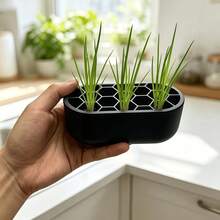 2, 4pcs Indoor Onion Seedling Transplanting Cultivation Set, Hydroponic Container, Soilless Indoor Onion Seedling Cultivation, Space-Saving Planting Solution, Suitable For Small Apartments And Onion Growers - Seedling Tray - View 7