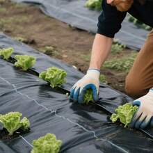 Weeders - Negro - View 10