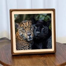 2D Flat Printing 1pc Suitable For Four Seasons Animal Theme: Leopard And Together Pattern, Frameless DIY Diamond Painting, Mosaic Handmade Art Painting Set, Home Decor Painting, Suitable As Holiday Gift - No Frame - View 5