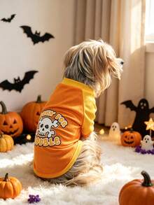 Pet Halloween Funny T-Shirt Orange & Yellow Color Block Dog Raglan Tee Dog Mesh T-Shirt Skull Print Small Dog Pomeranian Teddy Spring Summer Top Bichon Teddy Pomeranian Teddy Spring Summer Skull Print Top - Coral Orange - View 7