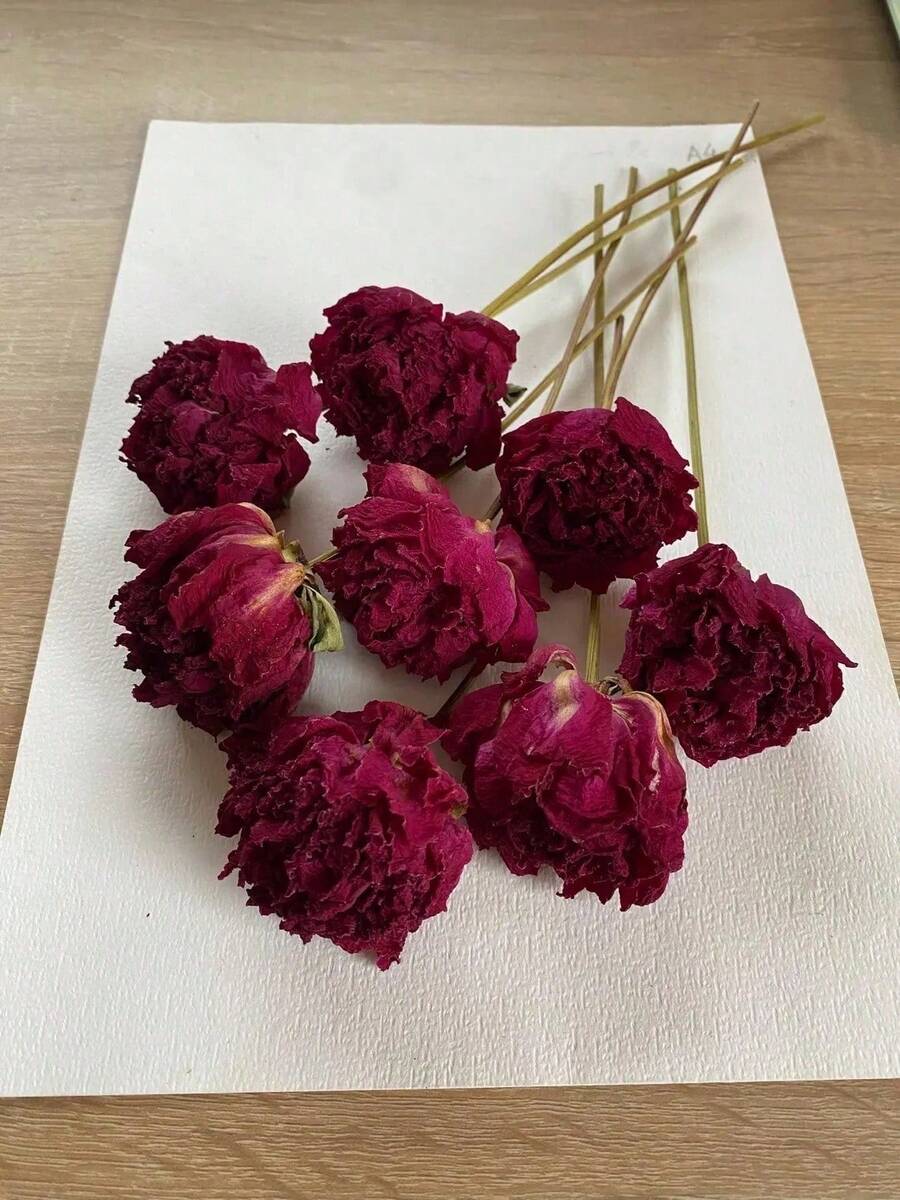 10/20/30/40入人造玫瑰花頭,微景觀裝飾,DIY禮品包裝裝飾 - 紅色 - 查看 1