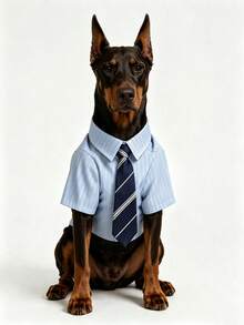 Baju Hewan Peliharaan Ringan dan Bernapas untuk Musim Panas, Kaos Anjing Kasual Berkancing Depan, Pakaian Hewan Peliharaan Lembut, Cocok untuk Anjing dan Kucing Kecil - MultiWarna - View 5