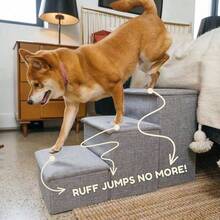 Dog Stairs With Storage And Adjustable Steps A Puppy, Small Or Medium Dog - Solid - View 4