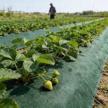 Barrier Landscape Fabric, Heavy Duty Ground Cover Mat, Permeable Control Fabric, Suitable For Flower Beds, Patios, Lawns, Gardens, Orchards, Irrigation Areas, Strawberry/Tomato Vegetable Beds - A - View 8