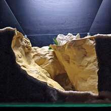 Thin Wall-Mounted Wave Rock Cave | Space-Saving Design | Waterproof Material | Suitable For Fish, Gecko, Chameleon, Lizard | Reptile Tank Side Decor - Champagne - View 5