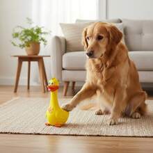 1pc Random Color Dog Toy Chicken Squeaker - Durable Rubber Duck Chew Toy, Makes Loud Sound, Bite-Resistant, Great For Cleaning Teeth, Fun Game For All Dog Breeds, Pet Toy, No Battery Required - Multicolor - View 1