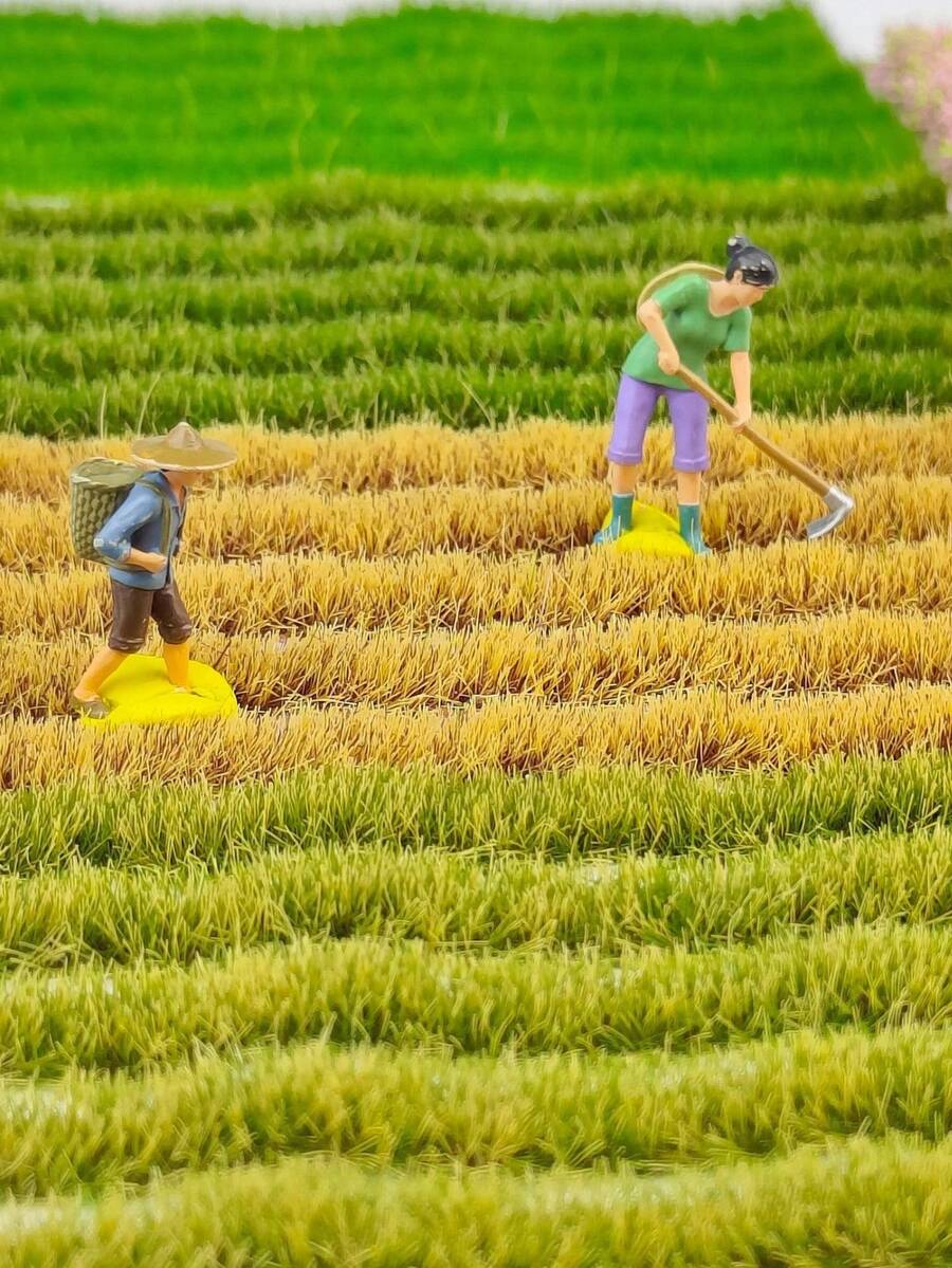 1 Box 5pcs Seasonal Mini Artificial Grass Tuft Model, 4 Colors 2.36*4.15in Realistic Sand Table Grass, Suitable For Various Scene Decoration, Train Track Miniature Landscape Model, Garden Model Landscape And Architectural Scene Layout DIY Material, Miniature Accessories