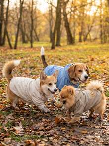 Customized Name Embroidered Lightweight Outdoor Tech Dog Hooded Jacket, Reflective Safety Design, Windproof Pet Coat, Adjustable Hem, Suitable For Small Dogs Outdoor Walking And Camping - Multicolor - View 6