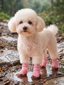 DomKim 4 Pairs Waterproof Dog Shoes (Easy On/Off) - Winter Paw Protection Boots, Detachable, Washable And Reusable Pet Boots, Suitable For Small And Medium All Dog Breeds (Poodle, Bichon, Shar Pei), Non-Slip And Stain-Resistant, Perfect For Walking, Vet Visits, Snowy And Rainy Days. - Pink - View 4
