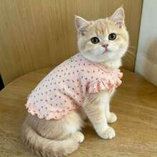 Floral Flutter Sleeve Pet Vest, Soft Home Wear For Small Dogs And Cats, Suitable For Teddy, Schnauzer, Spring/Autumn Princess Style Pet Clothing - Pink - View 4