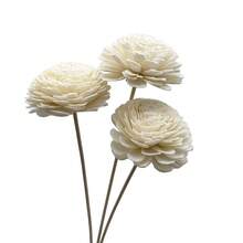 2.56 Inch Solar Wood Chrysanthemum Aromatherapy Flower, Decorative Flower, Floral Vase Home Decor - Sun-shaped Chrysanthemum Aroma Flower - View 3