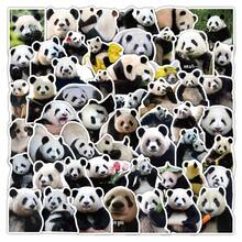 Tachimi 61pcs Cute Realistic Giant Panda Stickers, Creative Planner Stickers, National Treasure Panda Funny Expression Stickers, Waterproof Decorative Stickers - Multicolor - View 5