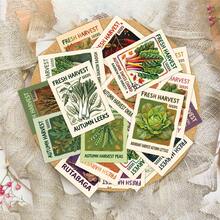 30pcs Autumn Vegetable Seed Cards, Fall Harvest Seeds Cards, Assorted Vegetable Illustrations Cards, Gift For Garden Lovers Women Men - Multicolor - View 6