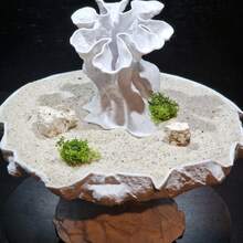 Splatter-Shaped Double Funnel Hideout | Material | Suitable For Gecko, Ornamental Fish And Shrimp | Reptile Tank, Aquarium | Splatter Style - White - View 4