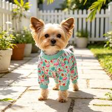 Teal Flamingo Dog Recovery Suit, Comfortable & Warm, Post-Surgery Anti-Licking | Breathable Pet Surgical Recovery Clothing - 薄荷藍 - 查看 1